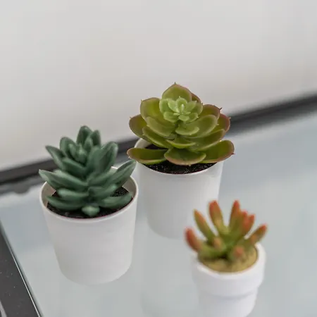 Alojamento de Acomodação e Pequeno-almoço Doria